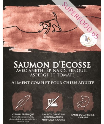 Adulte - Saumon - 12kg